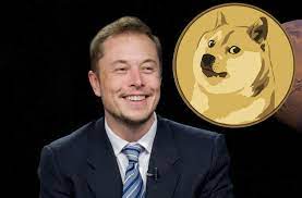 Elon Musk anuncia que Tesla aceptará ciertos pagos con Dogecoin
